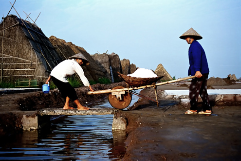 Nghề làm muối