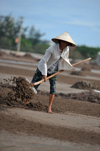 Nghề làm muối