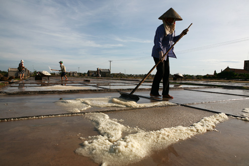 Nghề làm muối