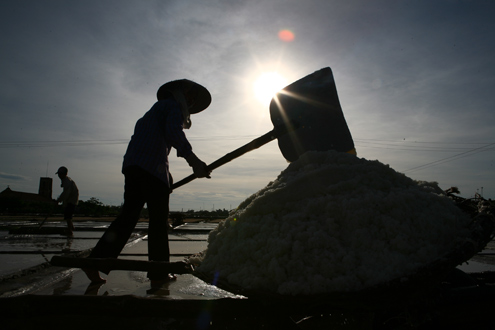 Nghề làm muối