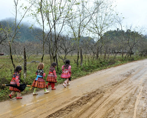 Rủ nhau đi chơi xuân.