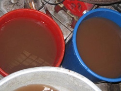 Cặn bẩn của nước từ nhà máy nước Pháp Vân sau khi qua bộ lọc “đặc trị” amoni, nitrit (chụp ngày 15/3). - tinsuckhoe.com