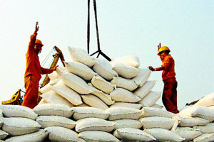 Thuế xuất khẩu tuyết đối đối với gạo đã được bãi bỏ