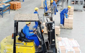 Cả năm 2009, tỉnh BD cần tuyển thêm khoảng 45 ngàn LĐ 